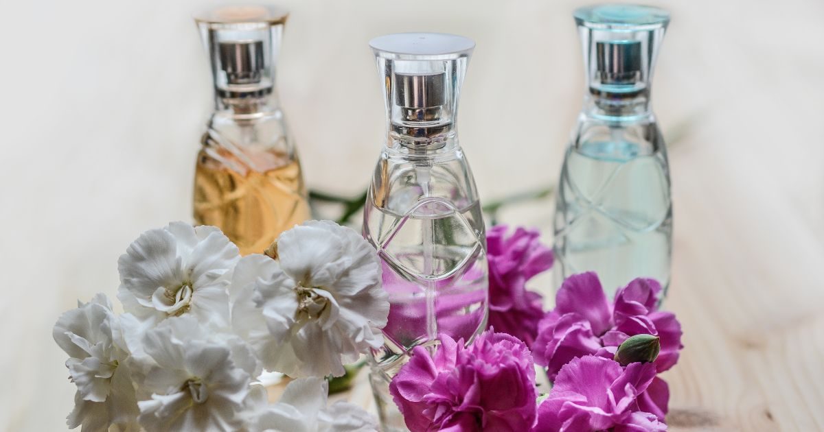 Flores aromáticas: ¿Cuáles son las 12 más populares?