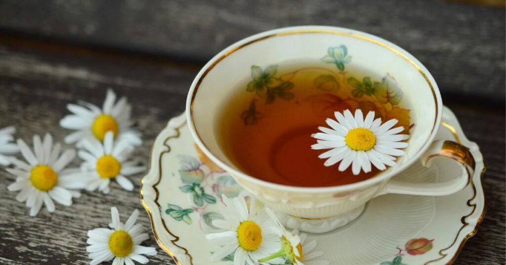 ¿Cuáles son las flores que se pueden comer y más sabrosas?