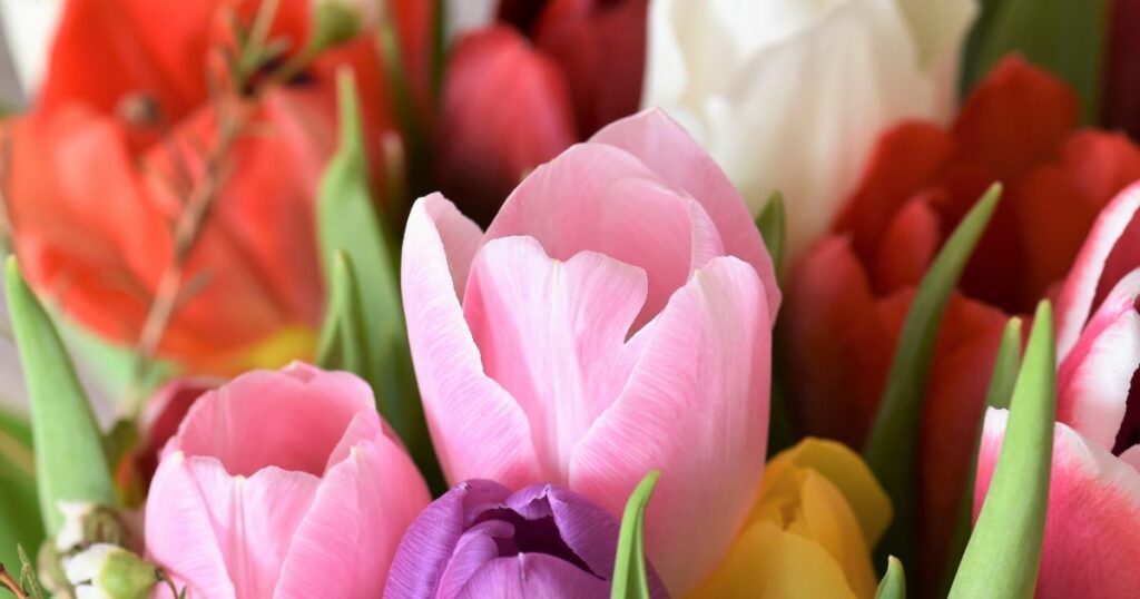 ¿Flores artificiales o flores naturales para un funeral?