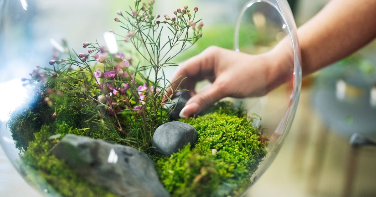 Flores en miniatura Arreglos florales en terrarios y jardines